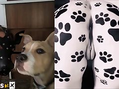 Xxx Videos Xnxx Com