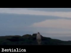 Www Xxx Video Xnxx