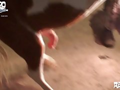 Xxx Xnxx Video .com