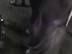 Xnxx X Xxx