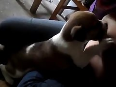 Amateur Zoo Porn Compilation