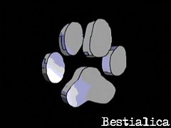 Animal Sex Categories