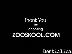 Animal Sex Categories