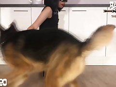 Girls And Animal Sex Porn