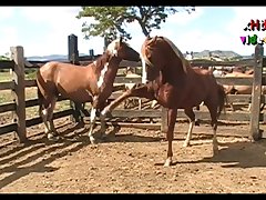 The Best Of The Best Scene 03