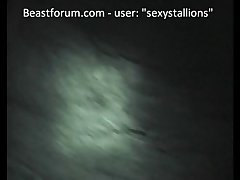 Stallion Penetration Bf Sexystallions