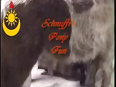 Zoosex Wife And Pony