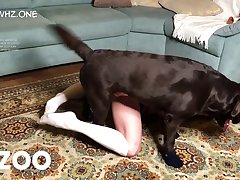Girl Fucked By Her Dog Porn