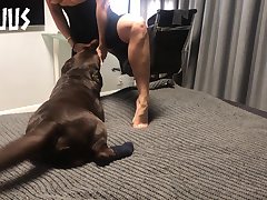 Fucked A Dog Porn