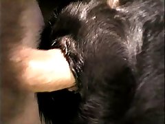 Woman And Her Dog Porn