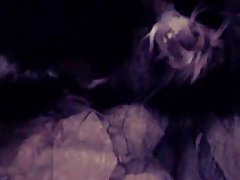 Animal Dog Porn Sex