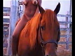 Guy Fucks His Female Dog Porn