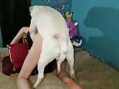 Throat Fucking Dog Porn