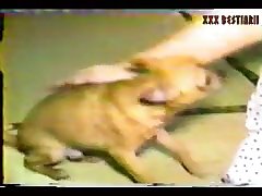 Big Boobs Zoo Porn