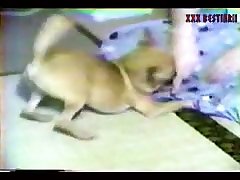Big Boobs Zoo Porn