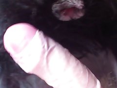 Free Extrem Dog Porn Sluts