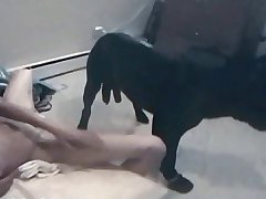 Mom Loves Dog Xxx