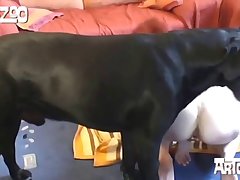Zoophilie Cat