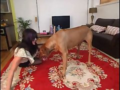 Girl Jerking Dog