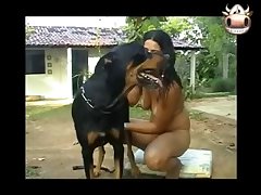 One Guy One Horse Porn