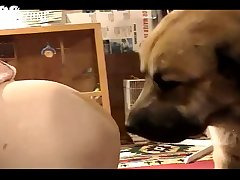 Girl Fuck Huge Dog Cock