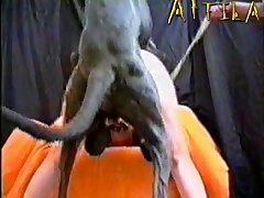Video De Sexo De Linda De Souza Abreu