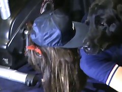 X Vídeo Zoofilia