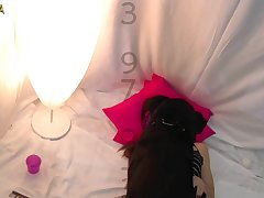 Cachorro Xxx