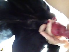Zoofilia Comendo Cadela
