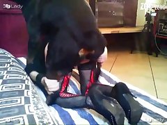 Videos Zoofilia Gratis