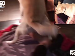 Лошадь Ебет Девушку