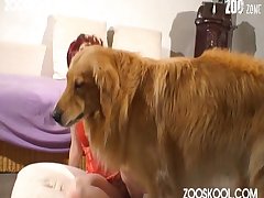 Hayvanlar Porno