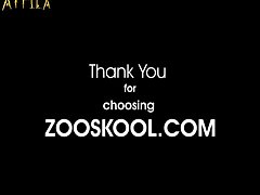 Zoofilia Porco