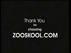 Videos De Zoofilia