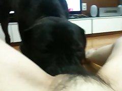 Sexo Com Egua