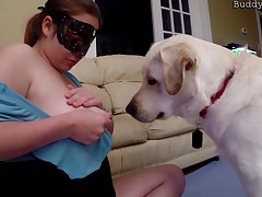Hentai Animais