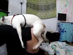 Porno Gay Com Cachorro