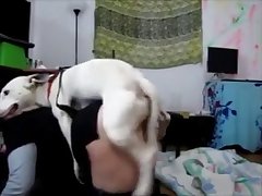 Porno Gay Com Cachorro