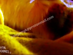 Porno Com Animais