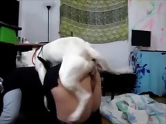 Porno Gay Com Cachorro