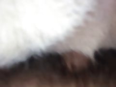 Porno Gratis Zoofilia