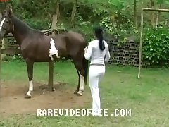 Man To Animal Sex Videos