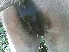 Zastonj Sex