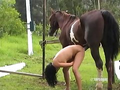 Animal Sex Ass