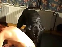 Dog Comic Porn