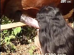 Furry Dog Porn Gay