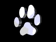 Men Make Girl Fuck Dog