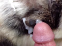 Furry Female Horse Porn
