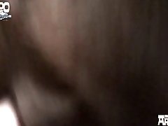 Real Horse Pussy Porn