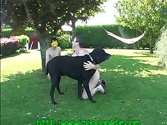 Getting Fucked By My Dog Porn